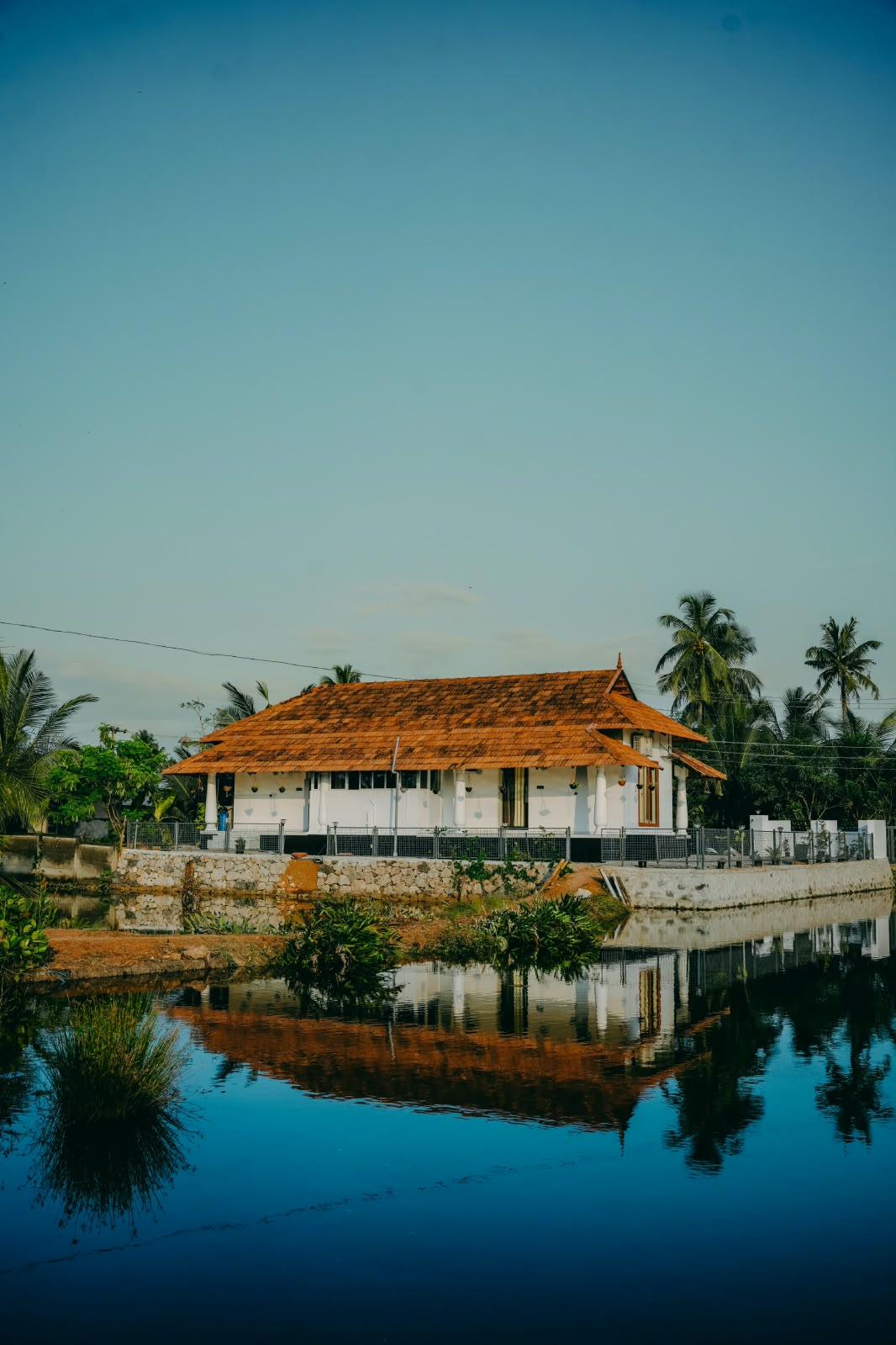 Mangalath Holidays view 4