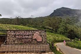 Wildilife safari in eravikkulam national parks